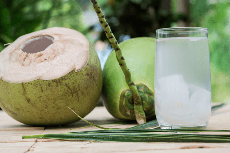 Eau de coco et verre, boisson isotonique naturelle