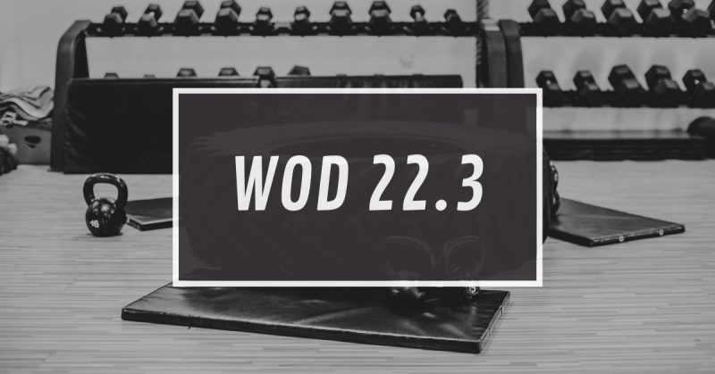 WOD 22.3