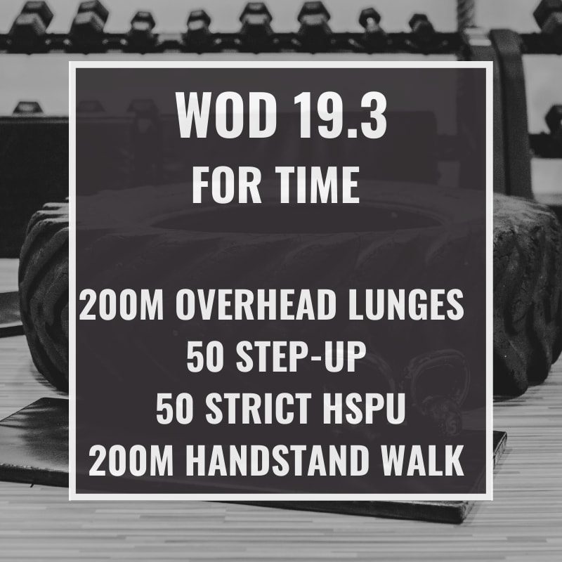 WOD 19.3