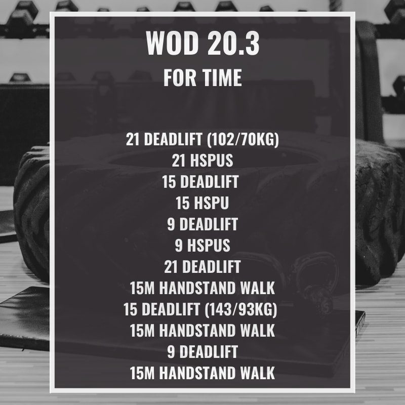 WOD 20.3