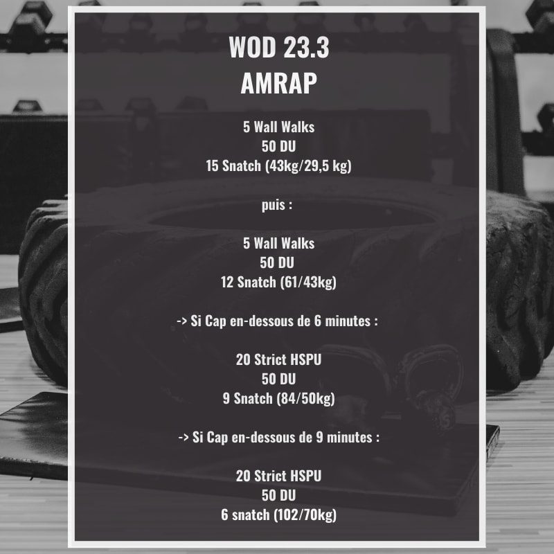 WOD 23.3