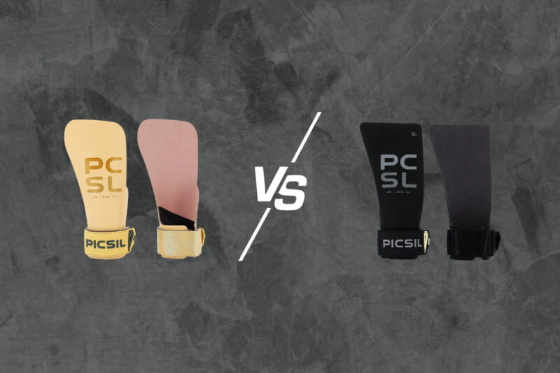 picsil hawk ou heron